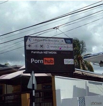 Дорогие пикабушники! Вся надежда на вас!.. Кошечка - по традиции. З.Ы. Пост не первый, можете судить строго. Коммент для минусов внутри