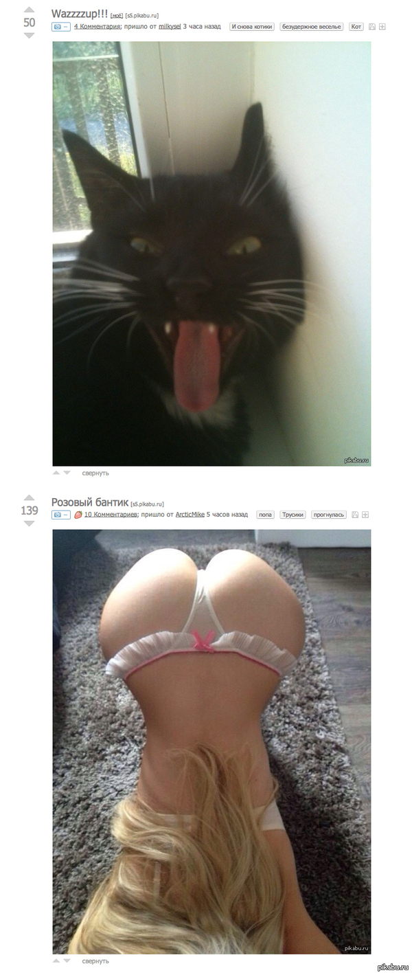 Coincided - NSFW, Coincidence, , cat, Girls