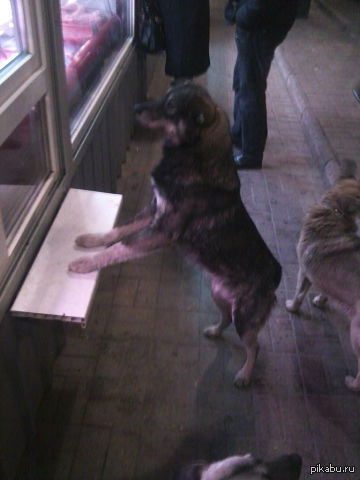 ������ ���� ����