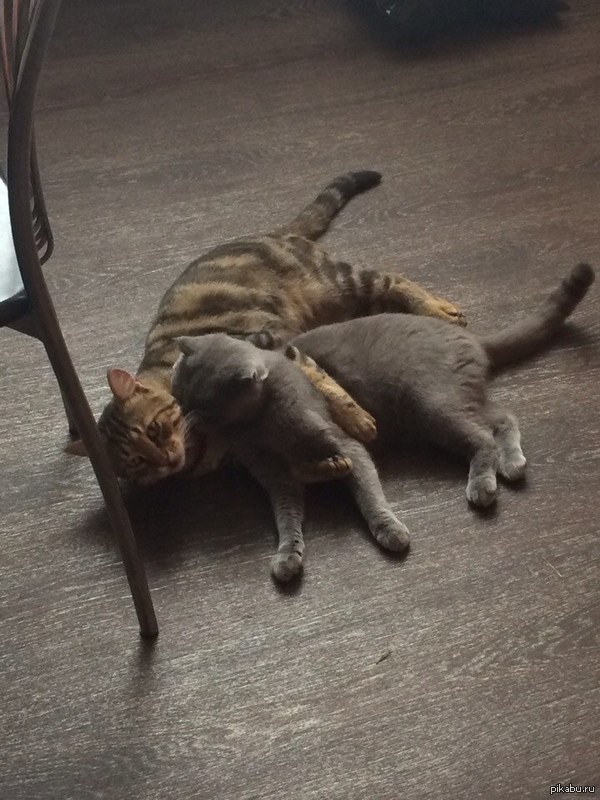 любовь