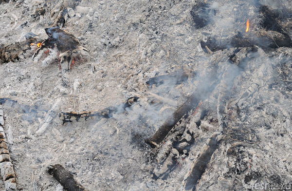 Донбасс: Очередная бомбардировка фосфорными бомбами