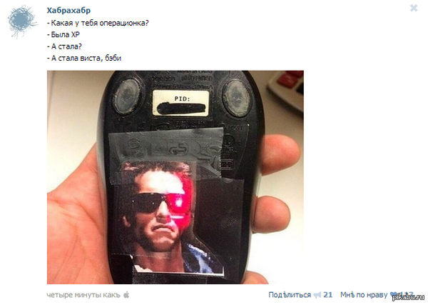 ��������, ������ �������