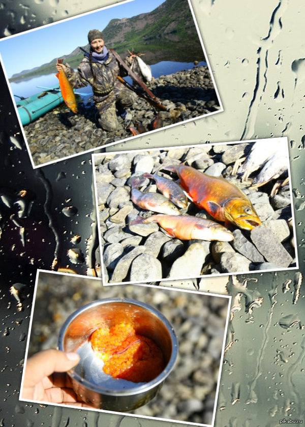 ,  , ,   ... , ,   :-,     ,    