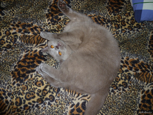 � ��� ����!