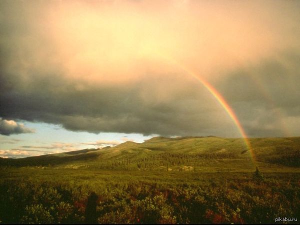 Rainbow