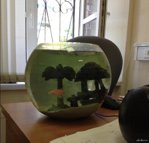 ����� ����� � ������ ����.