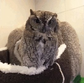    ^^ 