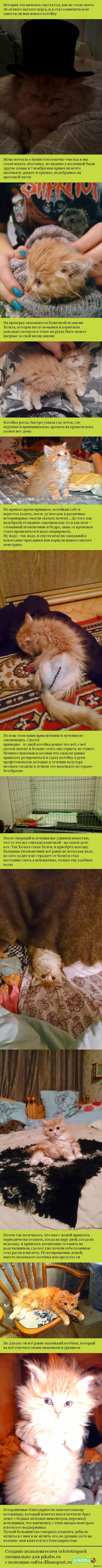 ������� ������ ���������� ����