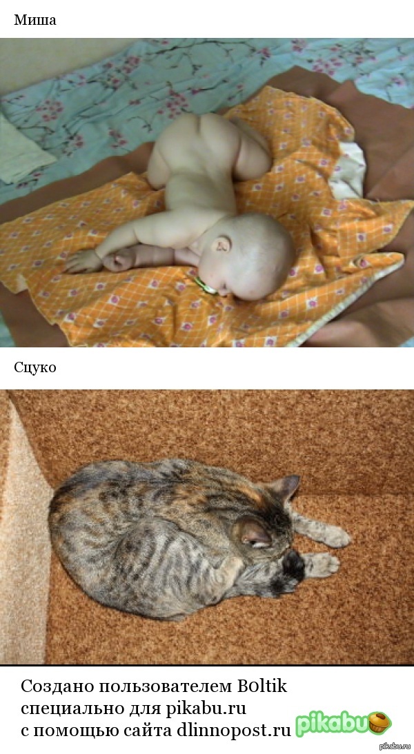 ���� � ���� ������� ���� ������������� �� ���������