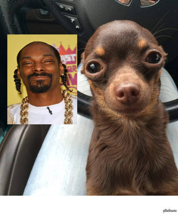 Snoop Dogg   ? 
