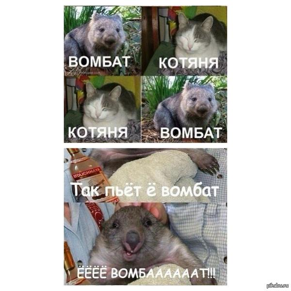 Убило. Комбат.