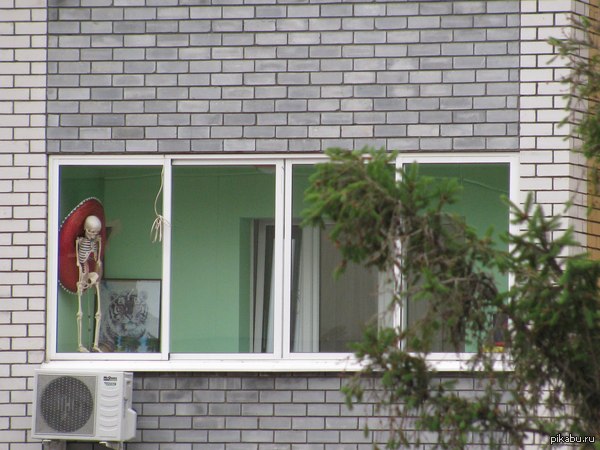 Скелеты в шкафу хранить нынче не модно.