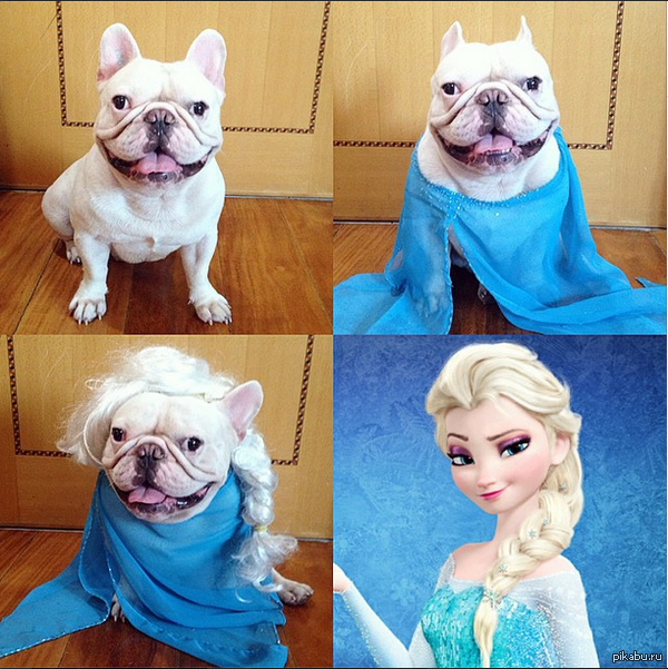 ������ ������� �� �������