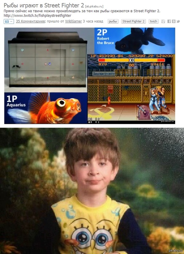   ... ...    .