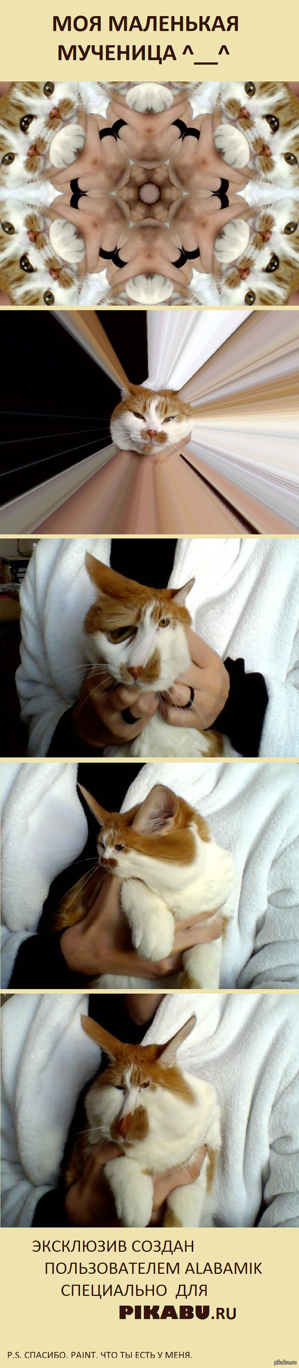 ��� ����. 11 ��� ������, 11 ��� �������, ����� � <3