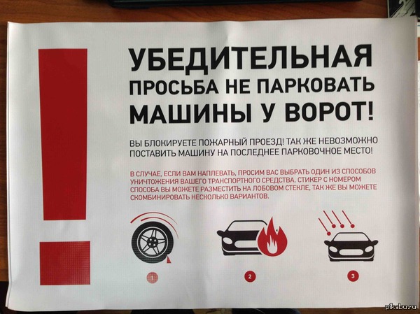 Когда брат дизайнер