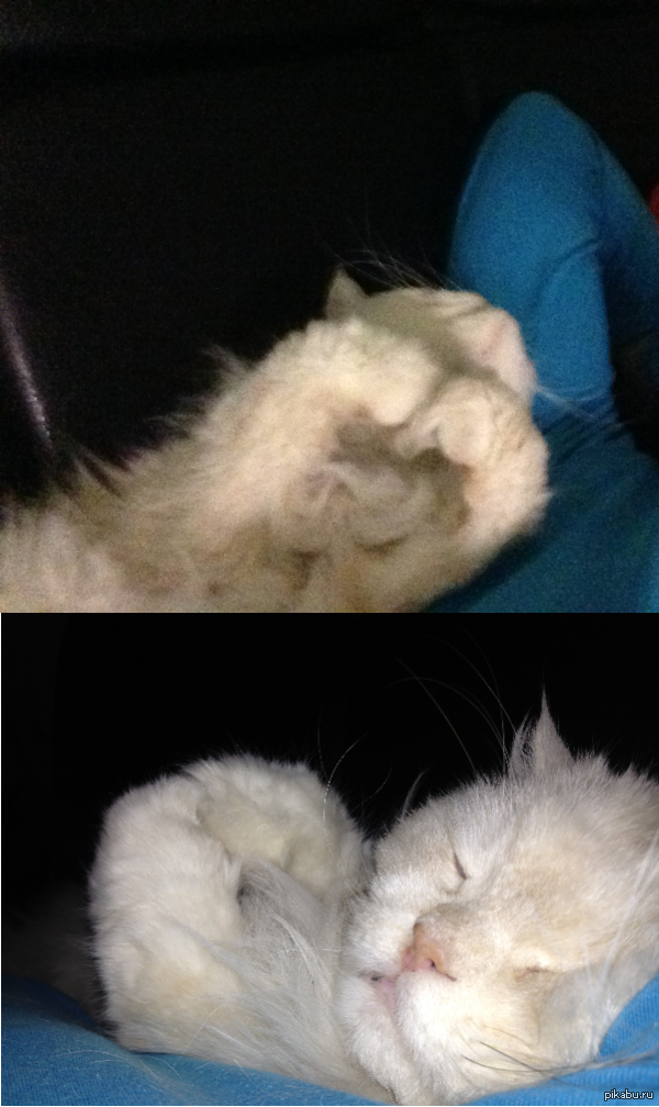 Просто шлет во сне сердечко...