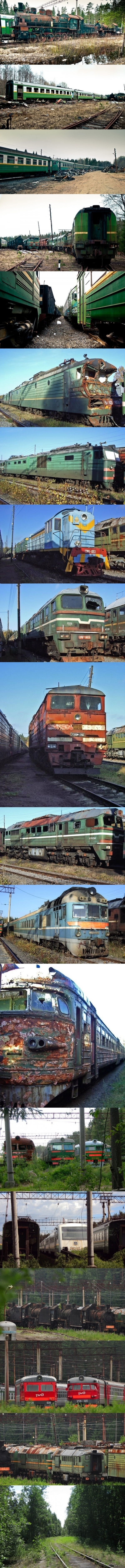 Заброшенная база запаса РЖД в Зеленогорске