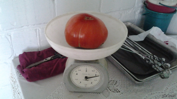 ��������� ���������)))))