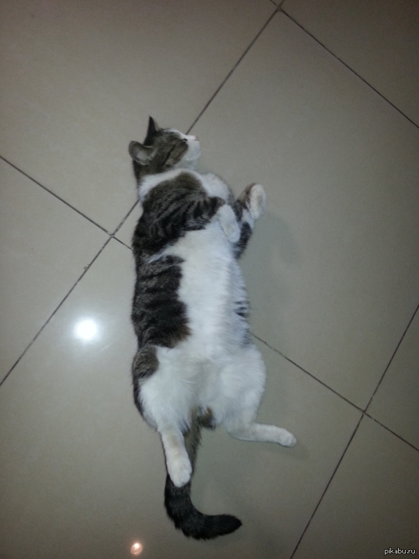 �� ���� � ����-�� �������� �������