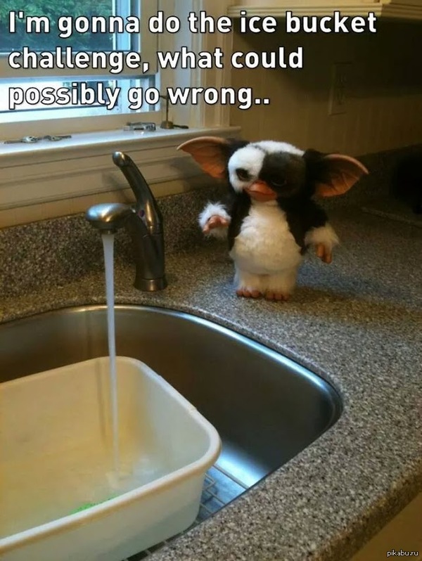 ��������� Ice bucket challenge )