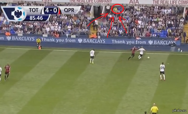 Фанаты Тоттэнхэма устроили флэшмоб в поддержку дня независимости на Украине.