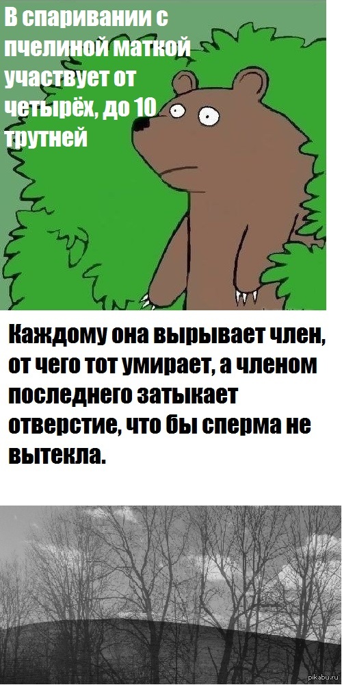      +  = 