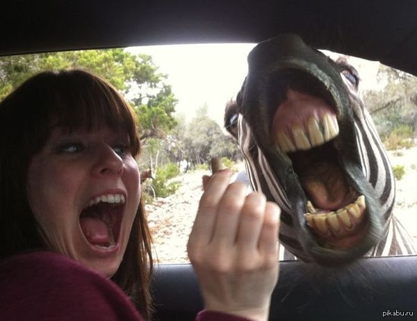 ��������� �� ������ �������� ���.