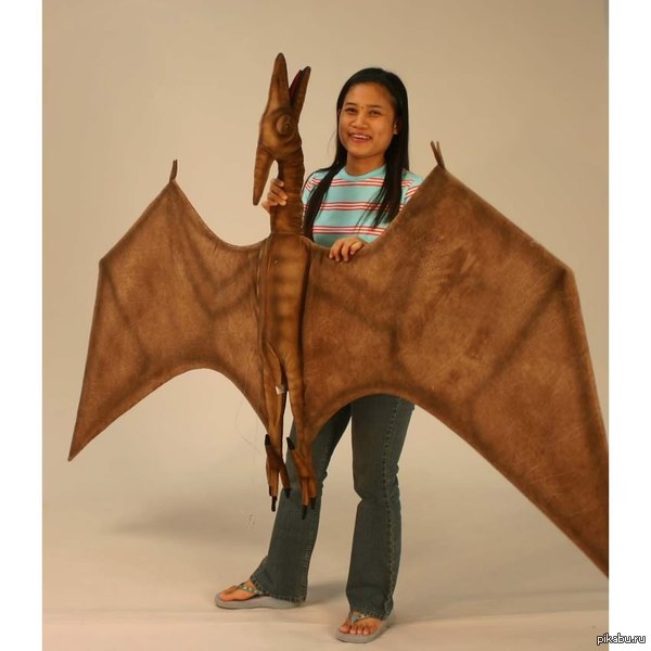 а тебя тоже расстраивает ситуация, когда приходишь домой, а какая-то азиатка задушила твоего птеродактиля?