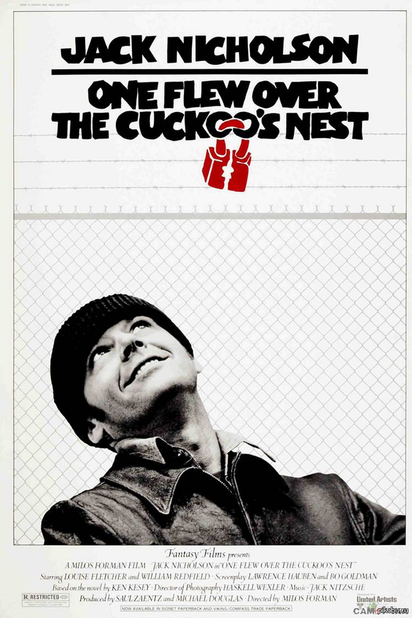 Пролетая над гнездом кукушки