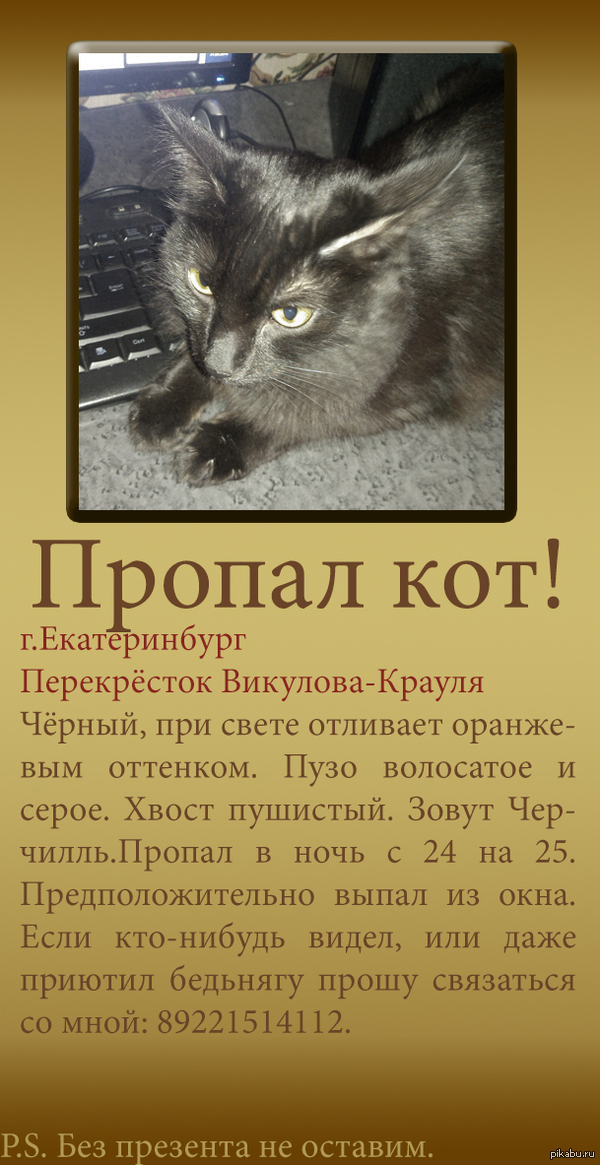 �������� ����������, ������ ���, ��������, �.������������, ��������-������