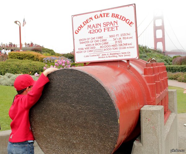 ������� ��������� ����� ����� ������� ������.