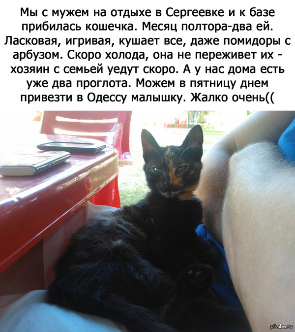 ������! ������� ����� � ������� ����!