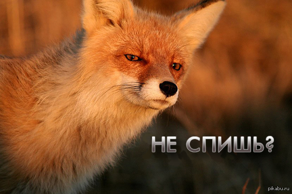 ������� ������� �������� =)