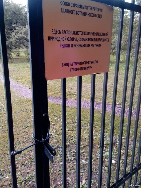 Безопасность на высшем уровне. В одном из закоулков Ботанического сада