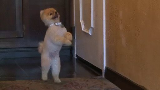 Oppa gangnam style 