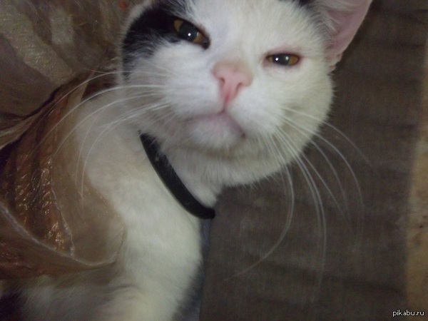 "� �� ����� ��������?"