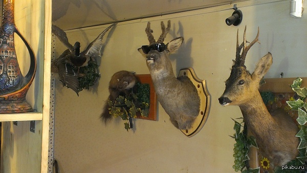 ����� � ���� "�������", � ��� ���� ��������... ��)