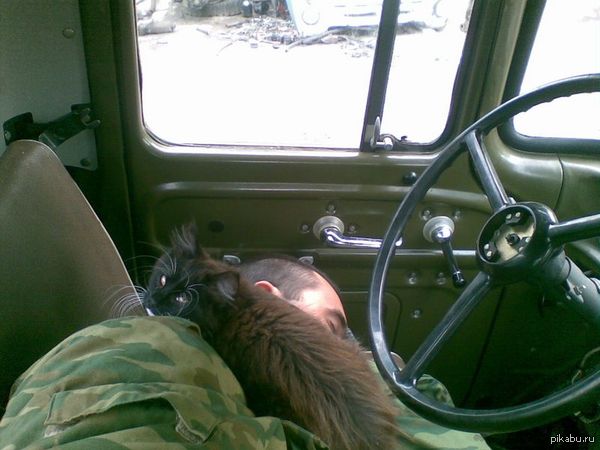 Мы высыпались как могли