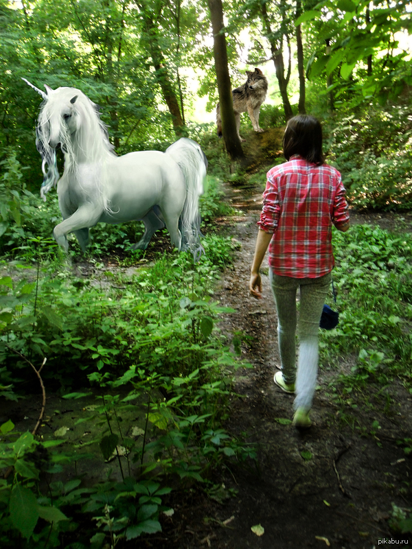 Волк лишний?