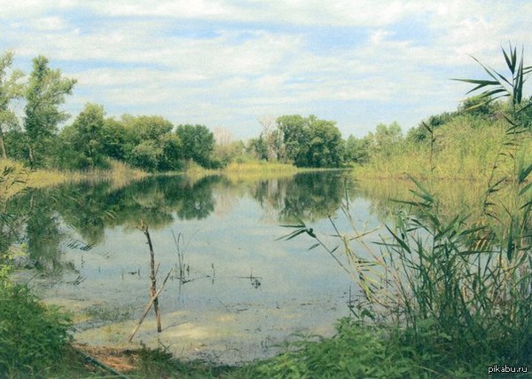 ��� ��� �������. ������������� �������, ������ �������.