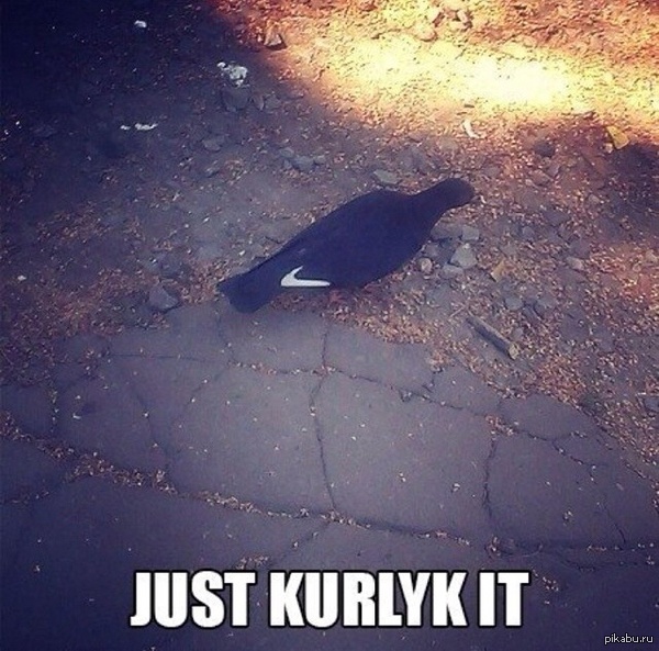   Just do it. KURLYK!