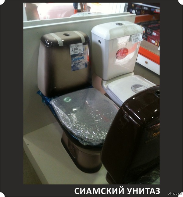 породистый санфаянс