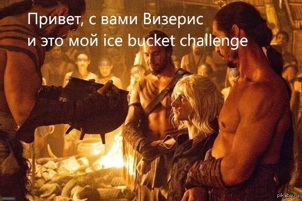 Ice Bucket Challenge     ,   .