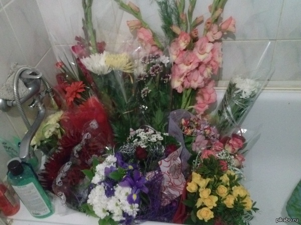 ����� ���� ���� �������.