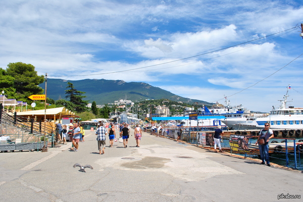 ���������� � ����