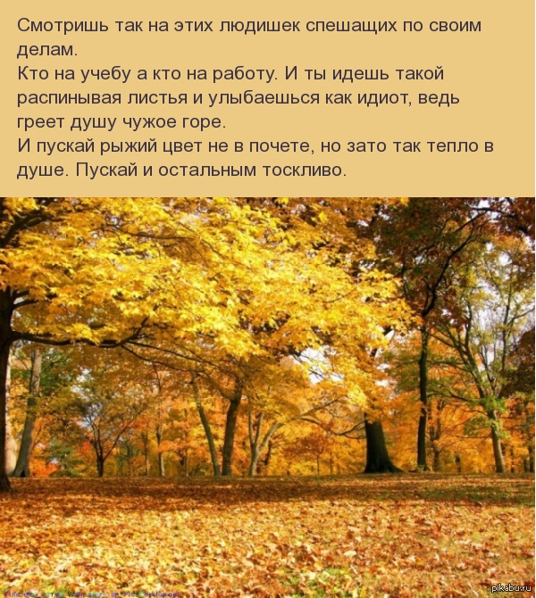 Как называется октябрь. Александр Сергеевич Пушкин октябрь уж наступил. Октябрь уж наступил. Октябрь наступил. Стихотворение октябрь уж наступил.