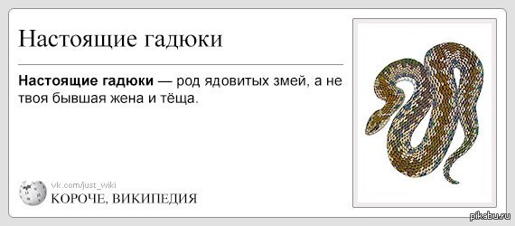 Твой змей. Теща змея. Теща змея прикол. Змеи это твои. Прикол змея жена и тёща.