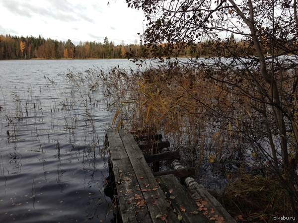 ��� ����� ���� ������� �� ��� ��� �������