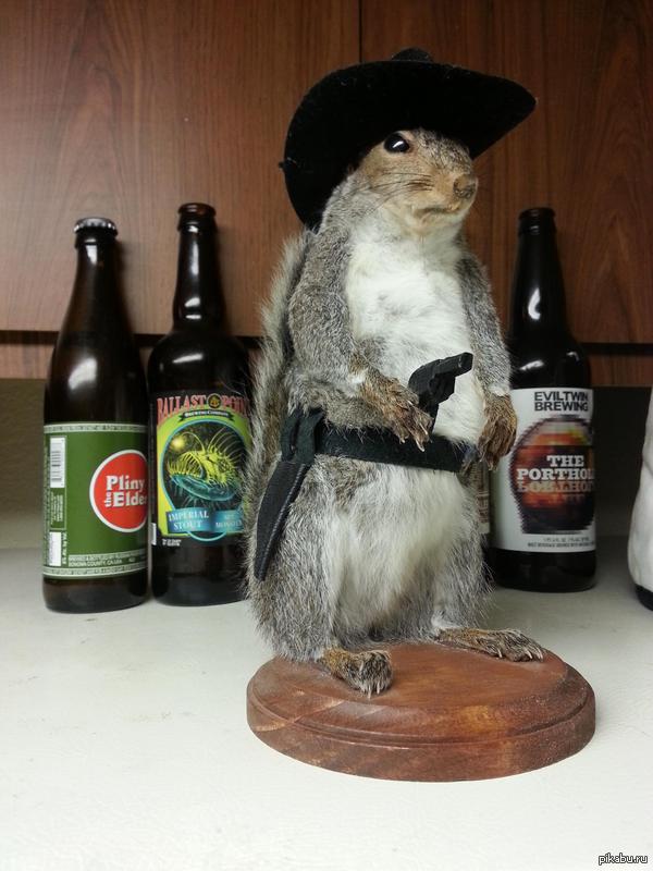 ��� ���� �������� - �� ������ ��������� ������ � ����� ��������